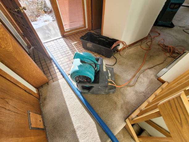 Reliable Lodi, OH Water damage restoration Solutions
