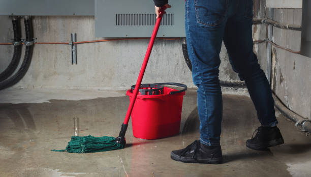 Best Flooded house restoration  in Lodi, OH