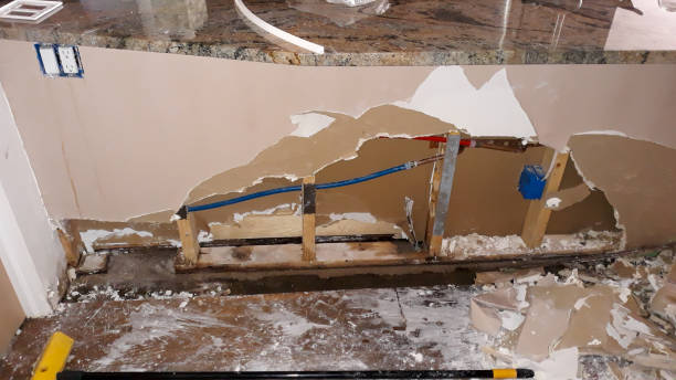 Best Flood restoration services  in Lodi, OH