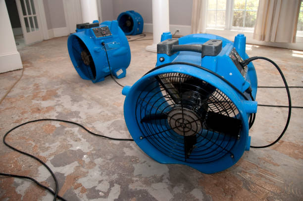 Best Basement water damage restoration  in Lodi, OH