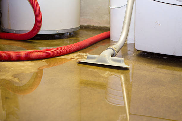 Best Sewage cleanup and water damage restoration  in Lodi, OH