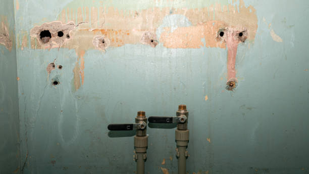 Best Flood damage cleanup  in Lodi, OH
