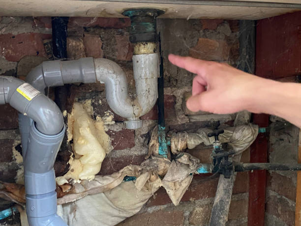 Best Professional water damage repair  in Lodi, OH