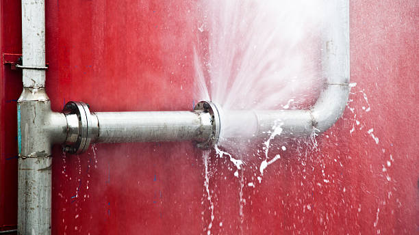 Best Fire Damage Restoration  in Lodi, OH